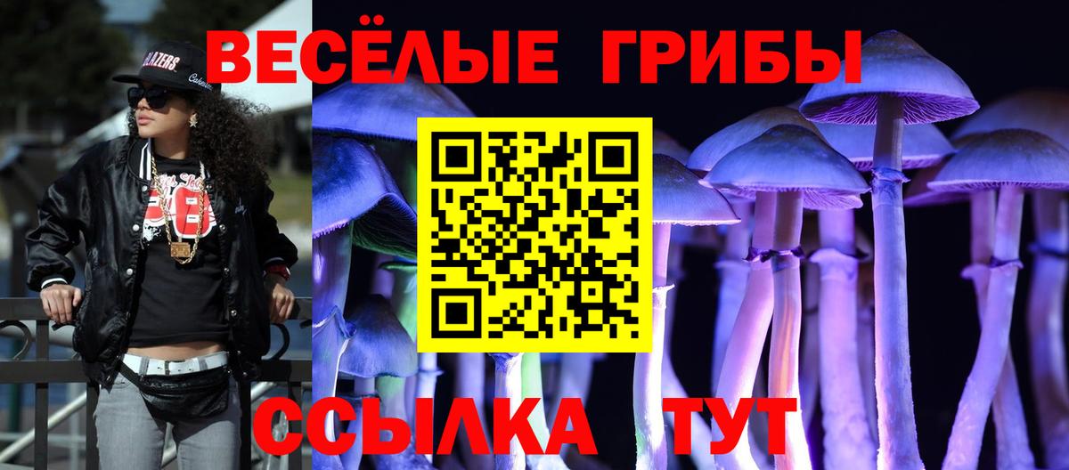 Галлюциногенные грибы Psilocybe  Галлюциногенные грибы мицелий  Вход с VPN  Кудымкар 